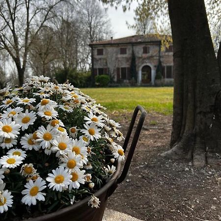 Agriturismo Corte San Girolamo Mantua Dış mekan fotoğraf