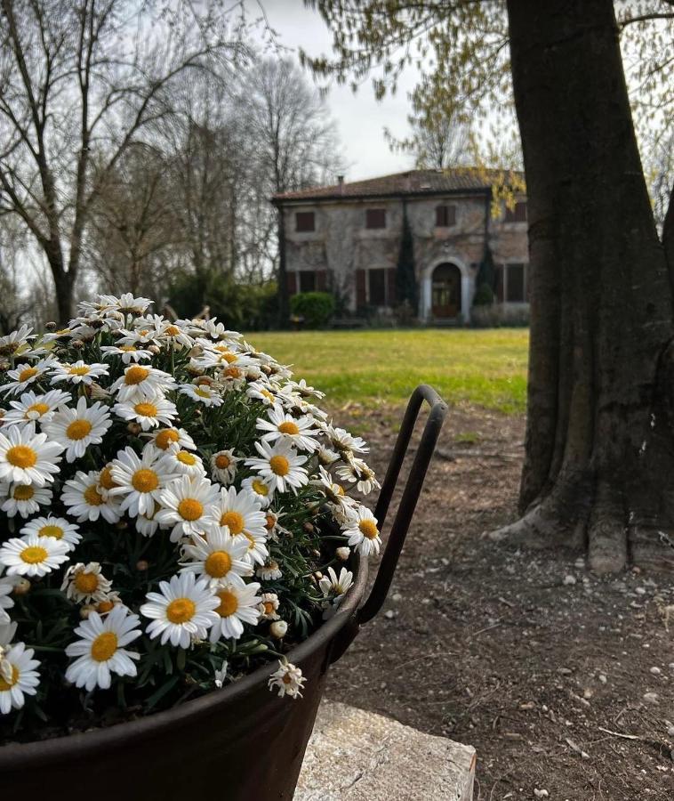 Agriturismo Corte San Girolamo Mantua Dış mekan fotoğraf