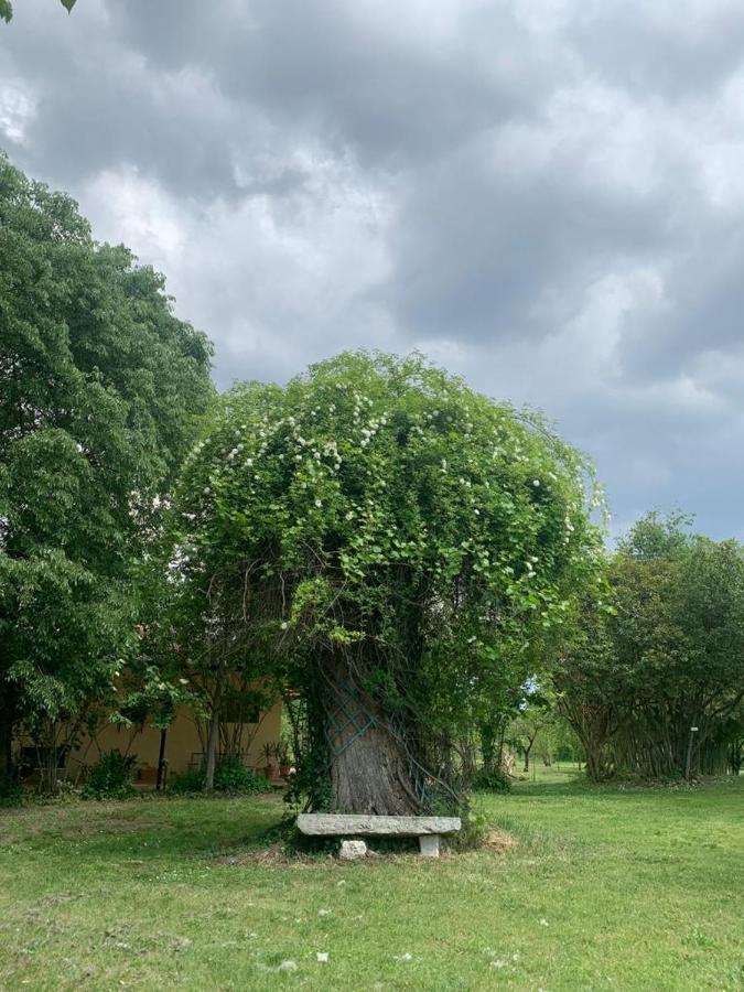 Agriturismo Corte San Girolamo Mantua Dış mekan fotoğraf
