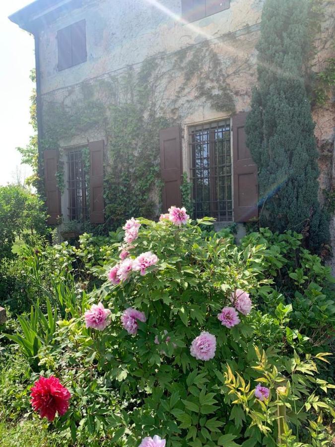 Agriturismo Corte San Girolamo Mantua Dış mekan fotoğraf