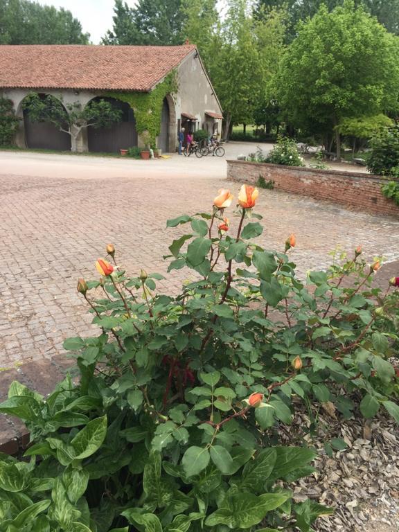 Agriturismo Corte San Girolamo Mantua Dış mekan fotoğraf