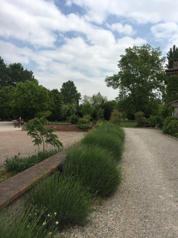 Agriturismo Corte San Girolamo Mantua Dış mekan fotoğraf
