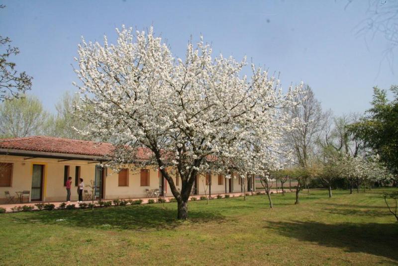 Agriturismo Corte San Girolamo Mantua Dış mekan fotoğraf