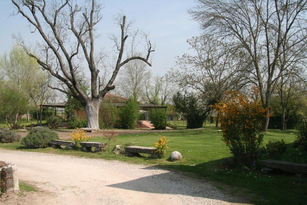 Agriturismo Corte San Girolamo Mantua Dış mekan fotoğraf