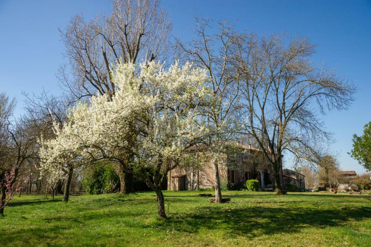 Agriturismo Corte San Girolamo Mantua Dış mekan fotoğraf